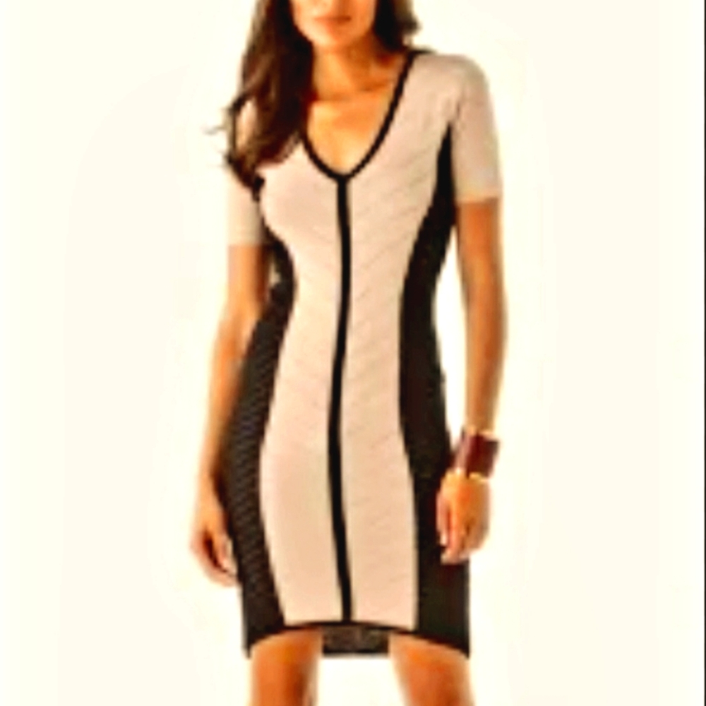 TORN By Ronny Kobo Black And Beige Knit Colorblock Short Sleeve Dress